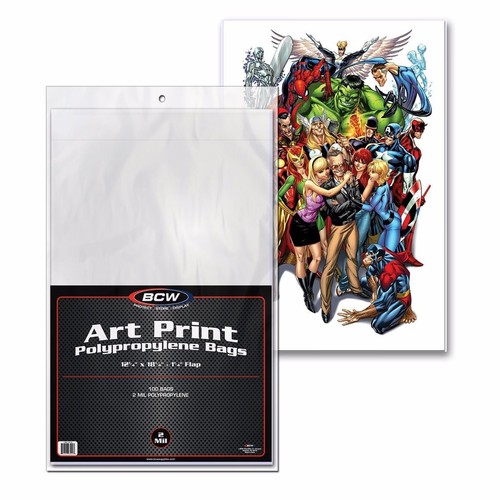 Bcw 12x18 art print - bcw,