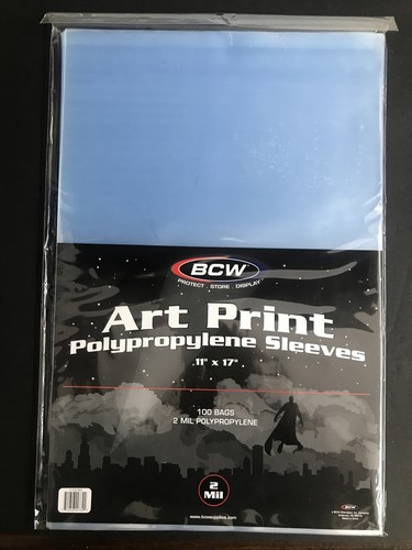 Bcw art print photograph - art,